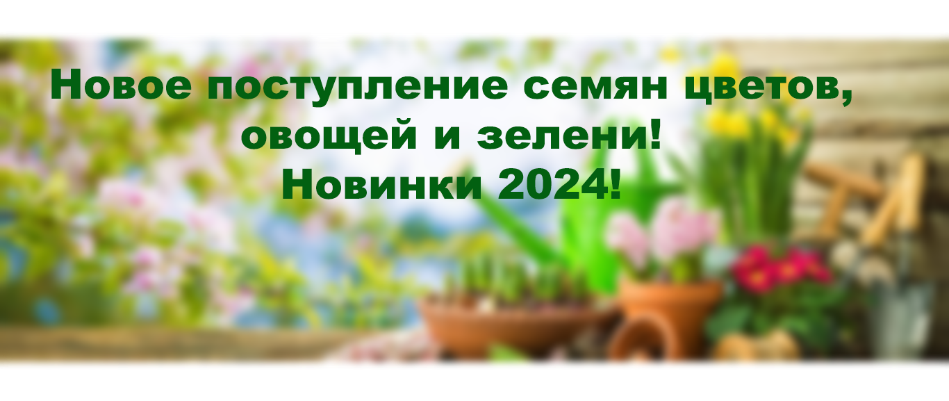 Новое поступление семян цветов, овощей и зелени! Новинки 2024!